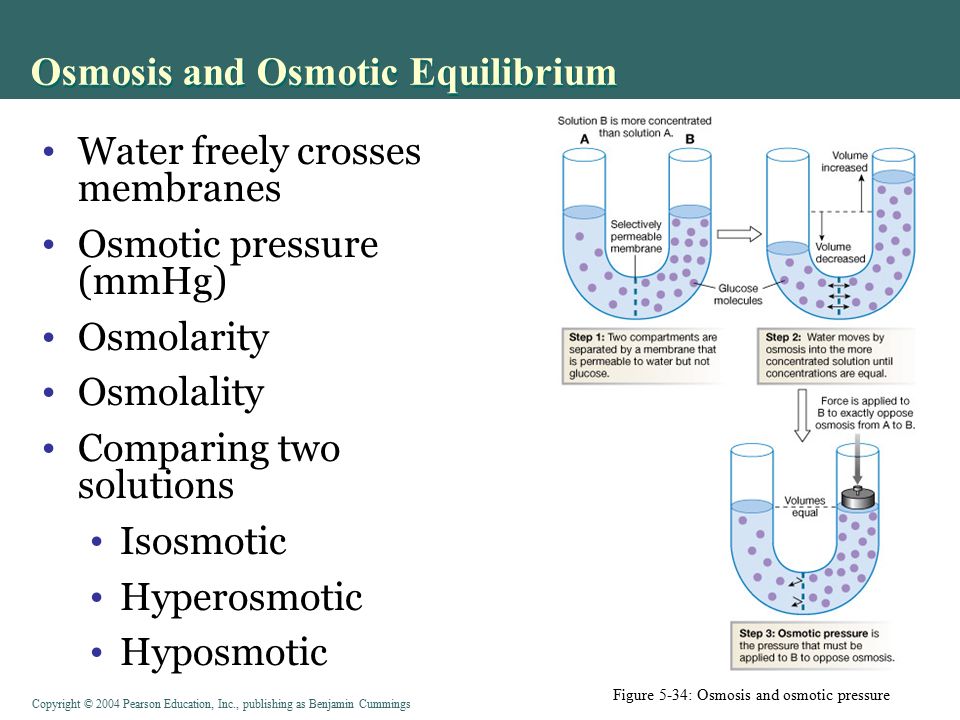 Osmosis and osmotic pressure